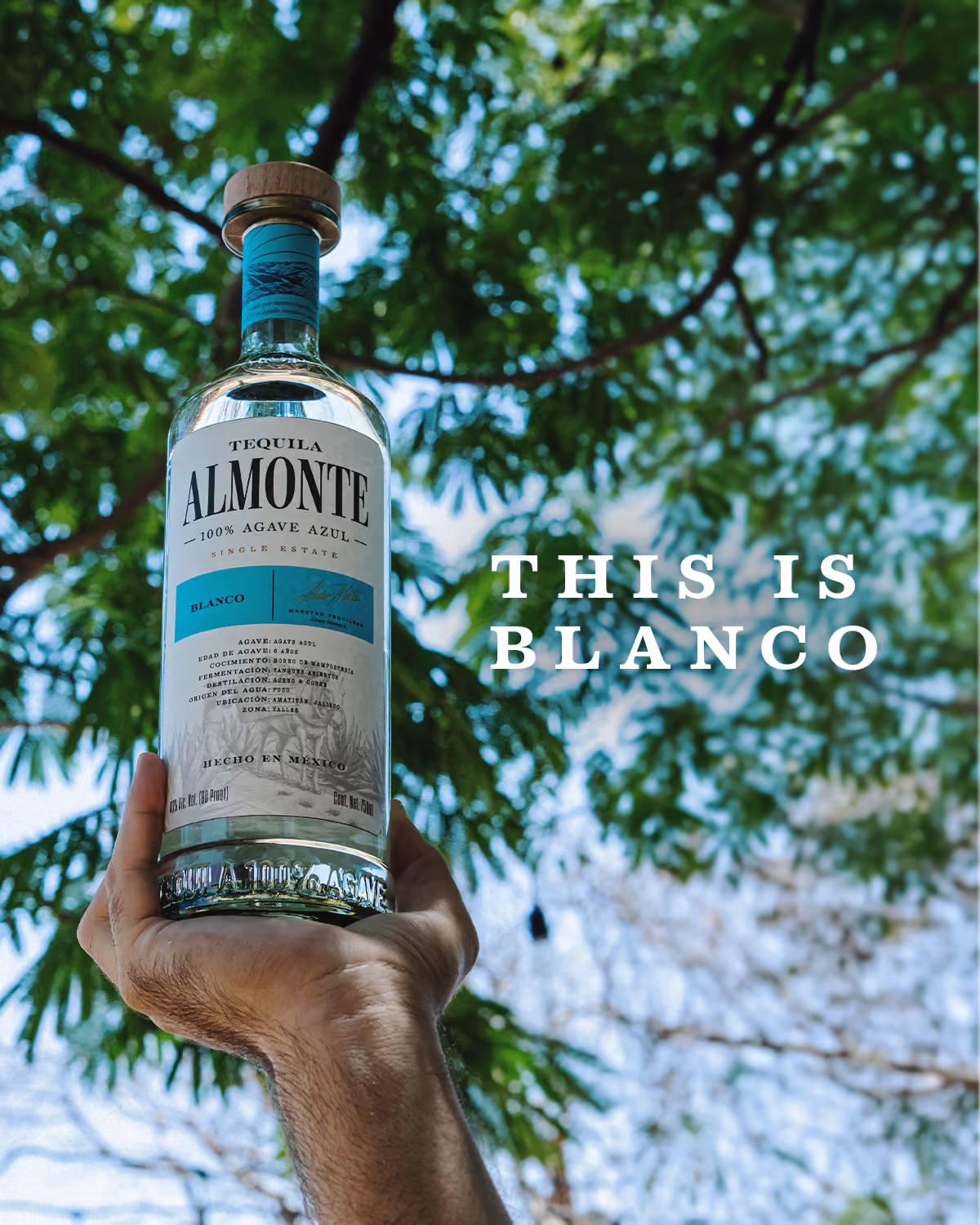 Una mano sostiene una botella de Almonte Blanco bajo los árboles.