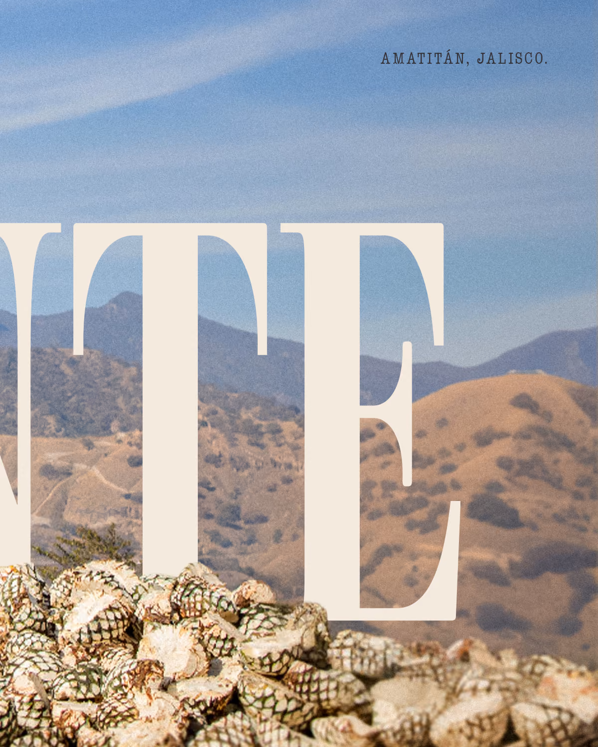 Paisaje de Amatitán y piñas de agave con letras de Almonte.