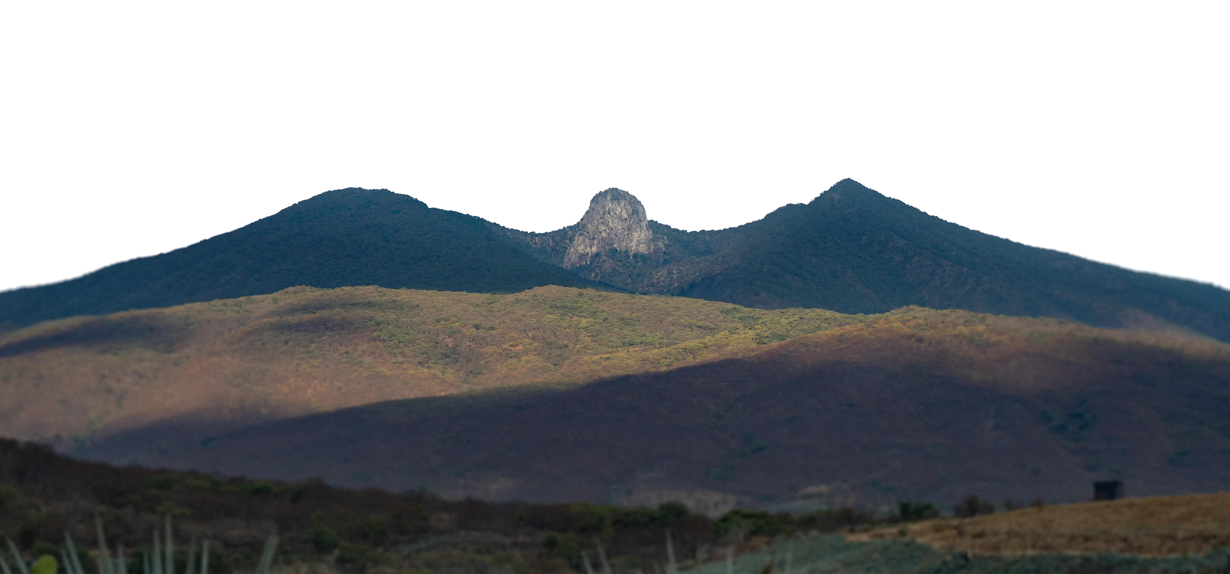 Paisaje de montañas y campos de agave en Amatitán, Jalisco.